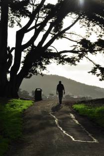 Caminhando na deliciosa Alamo Square, em San Francisco, na Califórnia, nos Estados Unidos